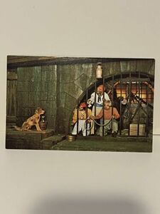 A Dogs Life Walt Disney World Vintage Postcard Pirates Of The Caribbean Pirate 海外 即決