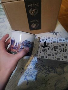 NEW IN BOX!! Harry Potter Owlcrate Cara Kozik The Boy Who Lived Mug 海外 即決