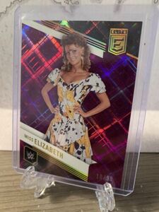 2023 Donruss Elite WWE Wrestling #116 Miss Elizabeth Purple /99 WWE LEGENDS 海外 即決