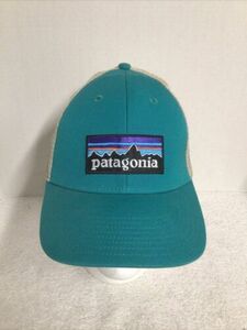 Patagonia Hat Teal White Snapback Trucker Mesh Fitz Roy Box Logo 6 Panel 海外 即決