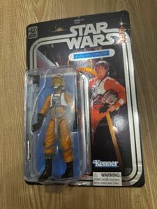 Star Wars Black Series 40th Celebration Exclusive LUKE SKYWALKER X-WING PILOT 海外 即決