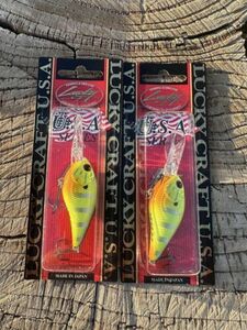 (LOT OF 2) LUCKY CRAFT LC 1.0D-7 3/8OZ LC-1-0D7-303 GOR PURPLE CHART GILL 海外 即決