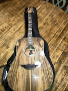 Urban Limited Edition Black Label Platinum Acoustic Electric Guitar w/ Gig Bag 海外 即決