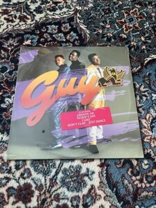 Guy (Self-titled) 12" LP, Groove Me, I Like, Teddy’s Jam, 1988 MCA-42176 SEALED 海外 即決