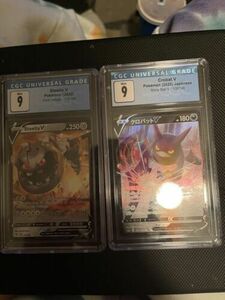 ポケモン graded cards Crobat V(Japanese)And Steelix V(English) 海外 即決