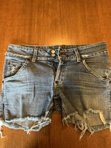 Women’s Hudson Jean Shorts, Size 29 海外 即決