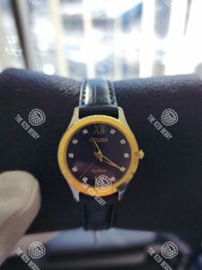 Citizen Eco-Drive LTR Women's Diamond/Gold Leather 27mm Watch EM1018-08E 海外 即決