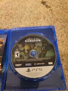Endless Dungeon Day One Edition PS5 Playstation 5 Preowned Clean Disk 海外 即決