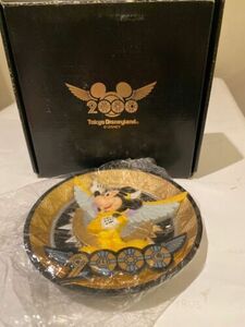 Disney Tokyo Disneyland 3D Plate Year 2000 Limited Edition Rare Mickey 海外 即決