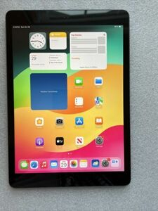 Apple iPad 9 10.2" 64GB Space Gray Silver WiFi or Cellular - Excellent 海外 即決