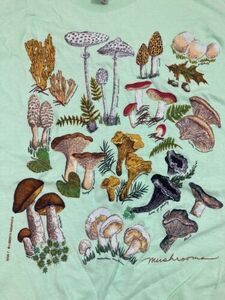 Mushrooms 2-sided T-shirt Size XL Vintage Retro Fungi Monarch Caterpillar 海外 即決