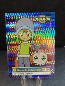 Digimon Animated Series Exclusive Preview Sora & Yokomon Holo Foil See Pictures 海外 即決