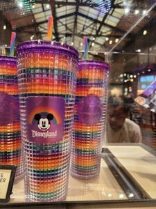 Disneyland Starbucks 2024 pride Tumbler 海外 即決