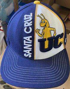 VINTAGE UC SANTA CRUZ BANANA SLUGS ZEPHYR THE HAT 35% WOOL, SNAPBACK CAP NEW !! 海外 即決