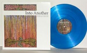 INTO ANOTHER Ignaurus Blue バイナル LP Plays Well VG+ 2014 Revelation / 35 Hardcore 海外 即決