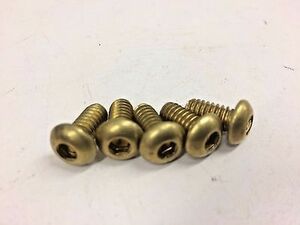 5 BRASS DERBY COVER BUTTON BOLTS 99 21 harley big twin evo cam hd bobber clutch 海外 即決