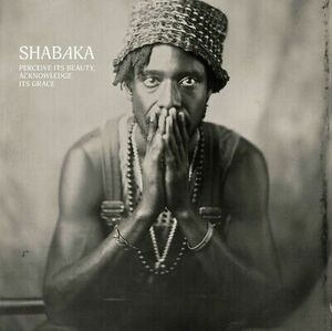 Shabaka - Perceive Its Beauty, Acknowledge Its Grace [New バイナル LP] 海外 即決