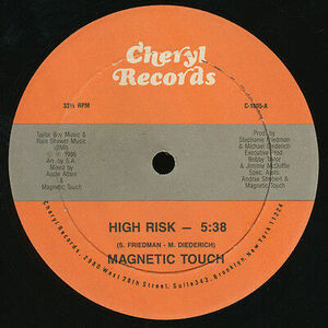 Magnetic Touch - HIGH RISK 12". New in shrinkwrap 海外 即決