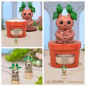 Charmed Aroma Harry Potter Mandrake Candle + Jewelry Tray - NO LONGER AVAILABLE 海外 即決