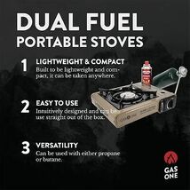 GS-3400P Dual Fuel 4