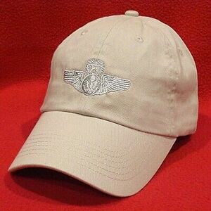AIR FORCE CHIEF AIRCREW Wings ball cap low-profile embroidered aviator hat STONE 海外 即決