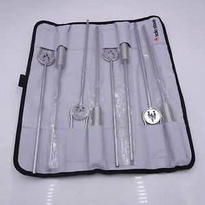 Solo Stove 4 Pack 36" Stainless Steel Roasting Sticks W/2 Prongs & Carry Case 海外 即決