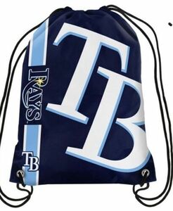 Tampa Bay Rays Drawstring Backpack / Gym bag 18" x 14" 海外 即決