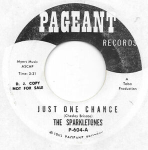 THE SPARKLETONES Just One Chance on Pageant girl group doo wop プロモ 45 HEAR 海外 即決