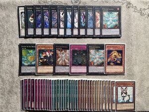 Yugioh! FULL Dino Rabbit Macro Deck 2014 Format Joe G + Extra Deck 海外 即決