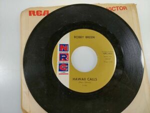 Bobby Breen Theme From A サム〜調和 /mer Place Hawaii Calls NRC 45 rpm 海外 即決