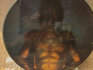 Tool Cesaro サム〜調和 /mability 12" バイナル Aenima Promo Picture Disc Never Played 海外 即決