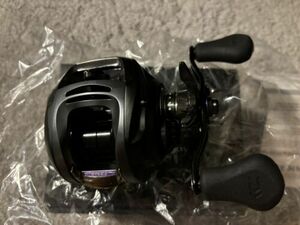 Hard To Find Brand New In Package Daiwa Steez SV103 XS 8.1:1 Casting Reel 海外 即決