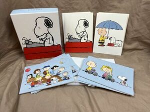 Graphique Blank Note Cards Peanuts Snoopy Charlie Brown 17 Count IB 海外 即決