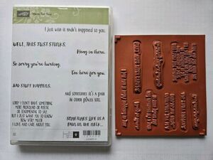 Stampin Up! HERE FOR YOU Humorous phrases, This Stinks, Pain in the Neck Retired 海外 即決