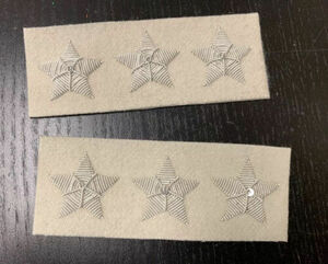 SILVER Officer Stars - BUFF Background - 3 Star COLONEL / GENERAL pair - NEW 海外 即決