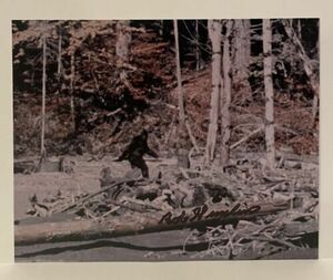 Bob Gimlin Signed 8x10 Photo Bigfoot Sighting Sasquatch Autographed 海外 即決