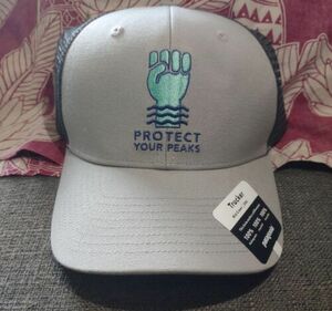 Patagonia Protect Your Peaks Trucker Hat Grey Snapback New With Tags 海外 即決