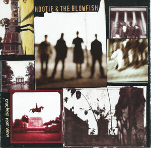 Hootie & The Blowfish Cracked Rear View (CD 1994) DISC ONLY #71A 海外 即決
