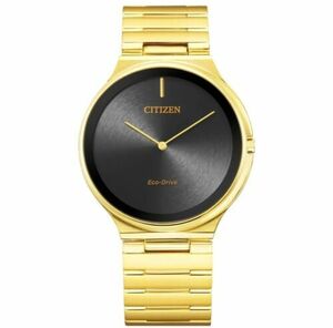 Citizen Eco-Drive Unisex Gold-Tone 39MM Watch AR3112-57E 海外 即決