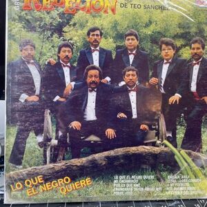 LA REBELION DE TEO SANCHEZ / LO QUE EL NEGRO QUIERE / バイナル Record 33rpm 海外 即決