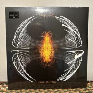 PEARL JAM DARK MATTER バイナル LP SEALED 海外 即決