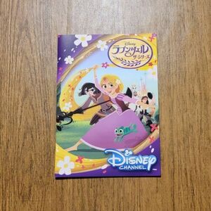 Japan Exclusive Disney Tangled the Series Rapunzel Cassandra Notepad School 海外 即決