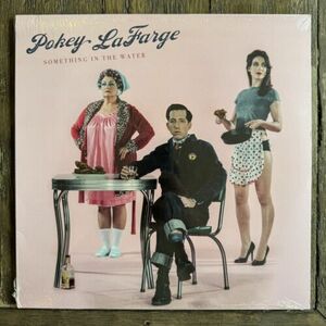 NEW 新品未開封 バイナル - Pokey LaFarge - サムシング / In The Water, LP (2015) Jazz, Blues 海外 即決