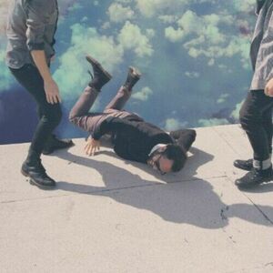 Hummingbird by Local Natives (CD, 2013) 海外 即決