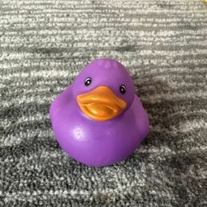 Rubber Duck Purple Decor Car Home Office Cute Ornament NO Squeak Ducky New 海外 即決