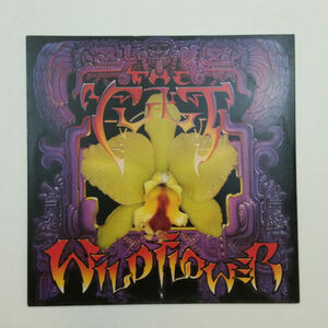 THE CULT Wild Flower 020743 Sire/Begg Banq 12" バイナル 45rm VG+nr++ Cover VG+ 1987 海外 即決