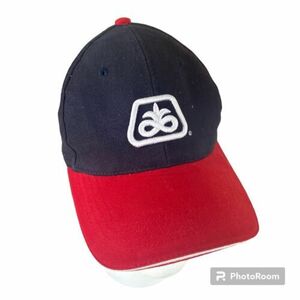 Pioneer Seed Cap Hat Blue Red Adjustable Snapback 海外 即決