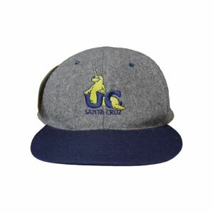 VINTAGE UC SANTA CRUZ BANANA SLUGS HEADMASTER WOOL SNAPBACK CAP NWT 90s 海外 即決