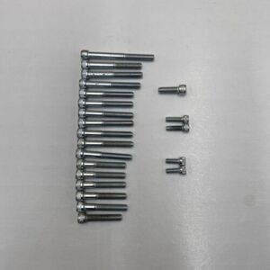 BSA Single C15 C25 B25 B40 B44 Engine Allen Screw Bolt Set Pre- 1968 U.K. Made 海外 即決