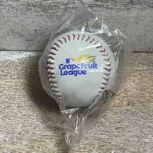 2022 Rawlings MLB Spring Training Grapefruit League Florida Baseball Ball New 海外 即決